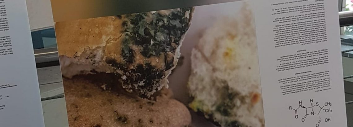 תחרות “יש לנו כימיה”